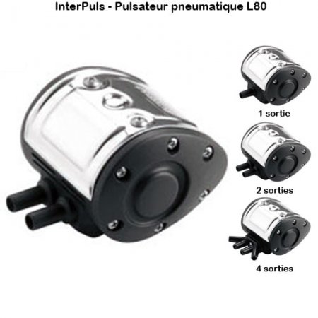 Interpuls-pulsateur-L80