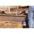 peinture-marquage-moutons-02 : peinture-marquage-moutons-02 peinture-marquage-moutons-02 : peinture-marquage-moutons-02