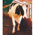 brosse-a-vaches-vink-02 : brosse-a-vaches-vink-02