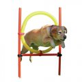 Cercle-Agility-02 : Cercle-Agility-02