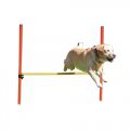 Barre-de-saut-Agility-02 : Barre-de-saut-Agility-02