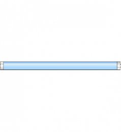 Rouleau attrape mouches ECO, 10 m - MASSON SARL