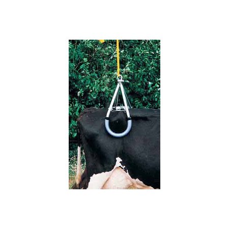 FR_Katalog20091183.jpg
