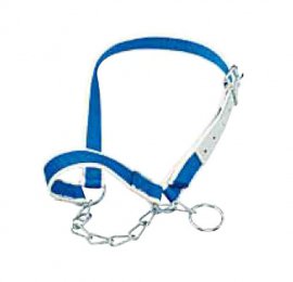 Licol nylon avec collier de menton pour vaches