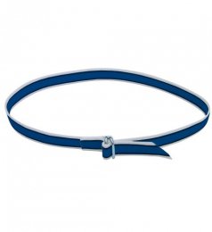 collier-de-marquage-nylon-bleu-systeme-passant