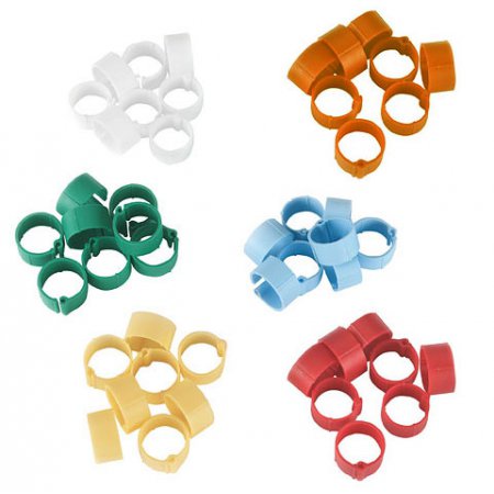 clips-volailles