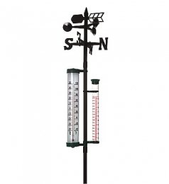 Thermomètre à sonde rabattable - Thermométrie - Equipement de la ferme 