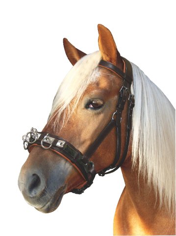 Caverne De Fente En Cuir Pour Cheval - Taille Adaptée - Sans Marque