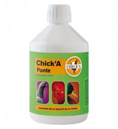 chicka-ponte
