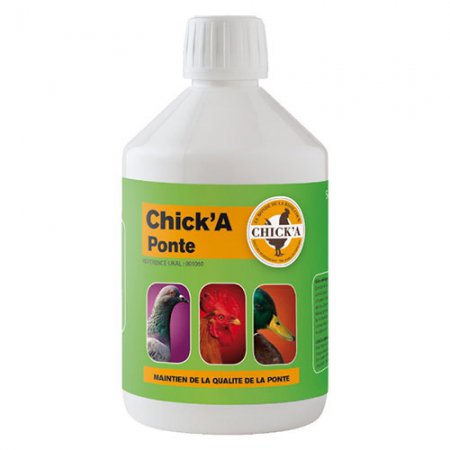 chicka-ponte