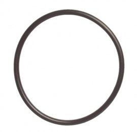 Joint torique de flasque pour pompe à lait GM2 adaptable Delaval (Corr. 22341275)