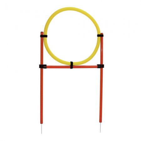 Cercle-Agility-01