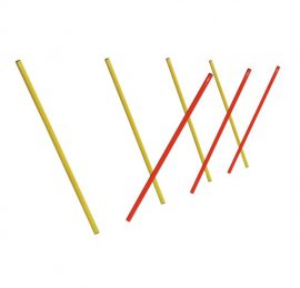 Slalom-Agility-01
