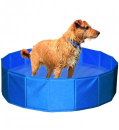 Piscine-pour-chiens