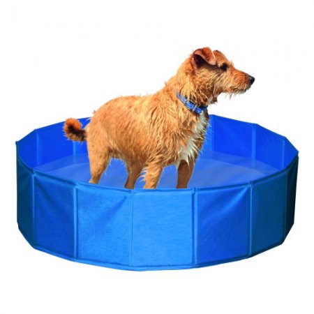 Piscine-pour-chiens