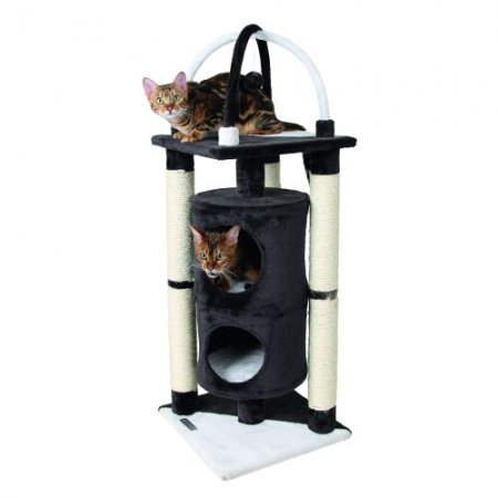 Arbre-à-chat-Onyx