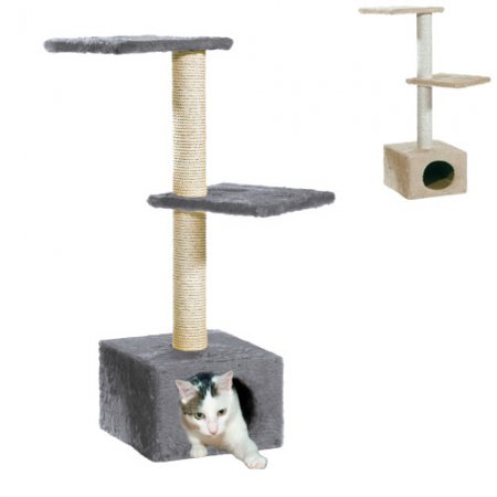 Arbre-à-chat-Venus