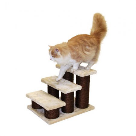 Marches-Easy-Climb