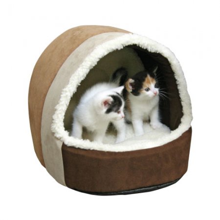 Grotte-Amy