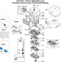 Interpuls-pulsateur-elec-LP20-dm-schema