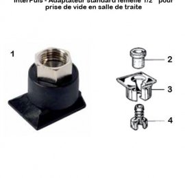 Interpuls-adaptateur-standard-femelle-sdt