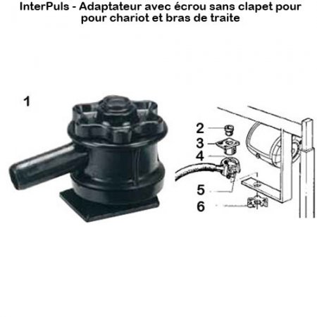 Interpuls-adaptateur-ecrou-sans-clapet-chariot-bras