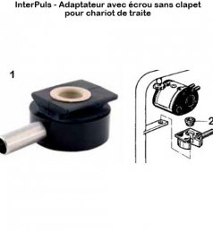 Interpuls-adaptateur-ecrou-sans-clapet-chariot