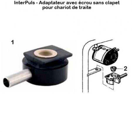 Interpuls-adaptateur-ecrou-sans-clapet-chariot