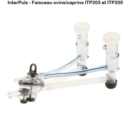 Interpuls-faisceau-ovins-caprins-ITP203-ITP205