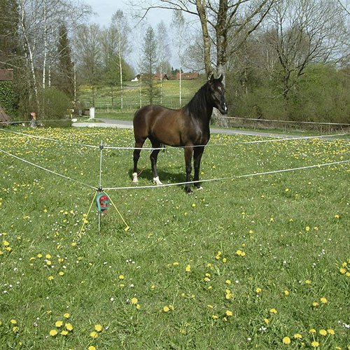 Electrificateur clôture randonnée Rancho - Clôture chevaux