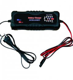 Chargeur pour batterie 12V