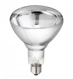 Lampe infrarouge 250W blanche à vis