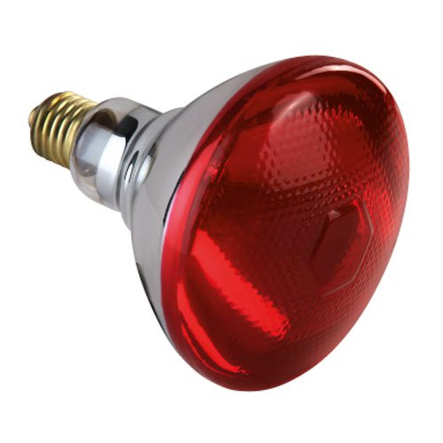 Ampoule infrarouge rouge verre renforcé (E27) - Lampes chauffantes
