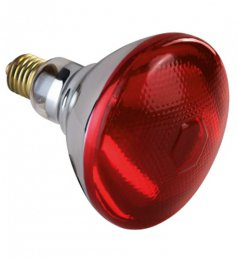 Ampoule infrarouge rouge verre renforcé (E27)