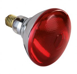 Ampoule infrarouge rouge verre renforcé (E27)